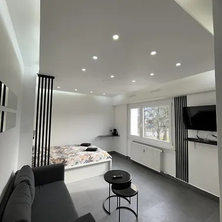 Moonwhite - Basel - Airport - Highquality Lejlighed Saint-Louis (Haut-Rhin)