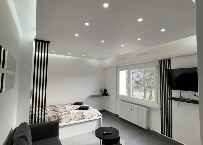 Moonwhite - Basel - Airport - Highquality Lejlighed Saint-Louis (Haut-Rhin)