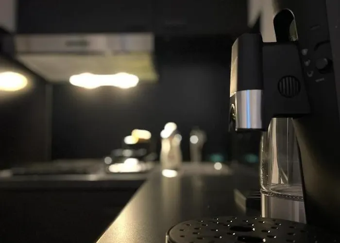 Moonwhite - Basel - Airport - Highquality Lejlighed