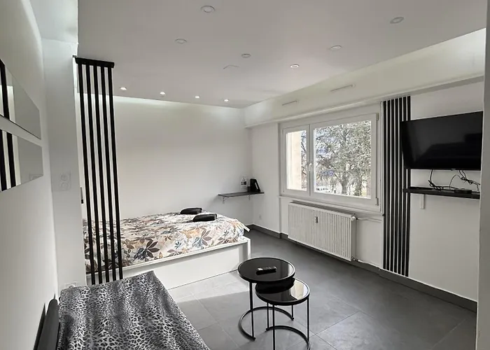 Lejlighed Moonwhite - Basel - Airport - Highquality Saint-Louis (Haut-Rhin)